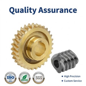 Custom <strong>Worms</strong> <strong>Gears</strong> <strong>Worm</strong> <strong>Gear</strong> <strong>Worm</strong> <strong>Gears</strong> - Product Image 5