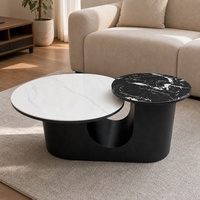 Table basse moderne haut de gamme avec plateau en marbre et structure métallique, design durable pour petit appartement, mobilier de salon de luxe
