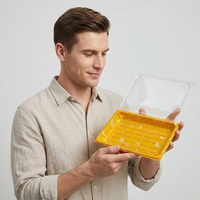 Conteneur à sushi de qualité alimentaire 220x135mm avec couvercle, boîte d'emballage en plastique PET épaissi pour la restauration en supermarché