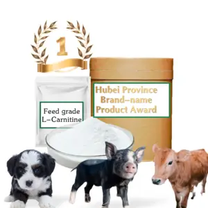 Premio al producto de marca L-carnitina proveedores mayoristas Polvo de L-carnitina de grado alimenticio para cerdos, pollos, peces, vacas y perros