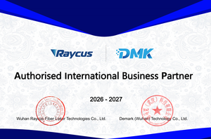 High Quality Raycus Laser Source 6000W 6KW RFL-6000/6600 12kw 12000w - Product Image 2