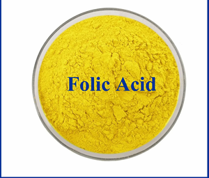 Folik Asit Vitamin B9 Gıda Sınıfı Organik Sertifikalı %99 Saf Vitamin Tozu Toptan Tedarikçi 59-30-3 Besin Güçlendiriciler Enerji - Product Image 3