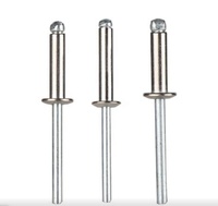 Rivets aveugles en acier inoxydable DIN7337, fournisseur de rivets aveugles en aluminium à tête bombée de type ouvert, colorés et argentés