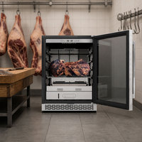 Réfrigérateur de maturation de viande OEM ODM, 110L, en acier inoxydable, pour salami, certifié CE DOE, avec écran LED, vente directe usine