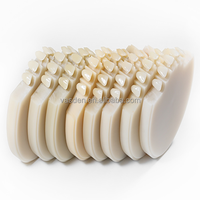 98mm monocouche PMMA dentaire PMMA disque CAD CAM haute qualité laboratoire dentaire clinique dentaire dents temporaires de ponts dentaires couleur claire