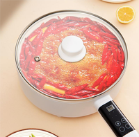 Casserole électrique polyvalente de 4 L avec fonction économie d'énergie, design simple pour usage domestique, hôtelier et cuisine de plein air raffinée