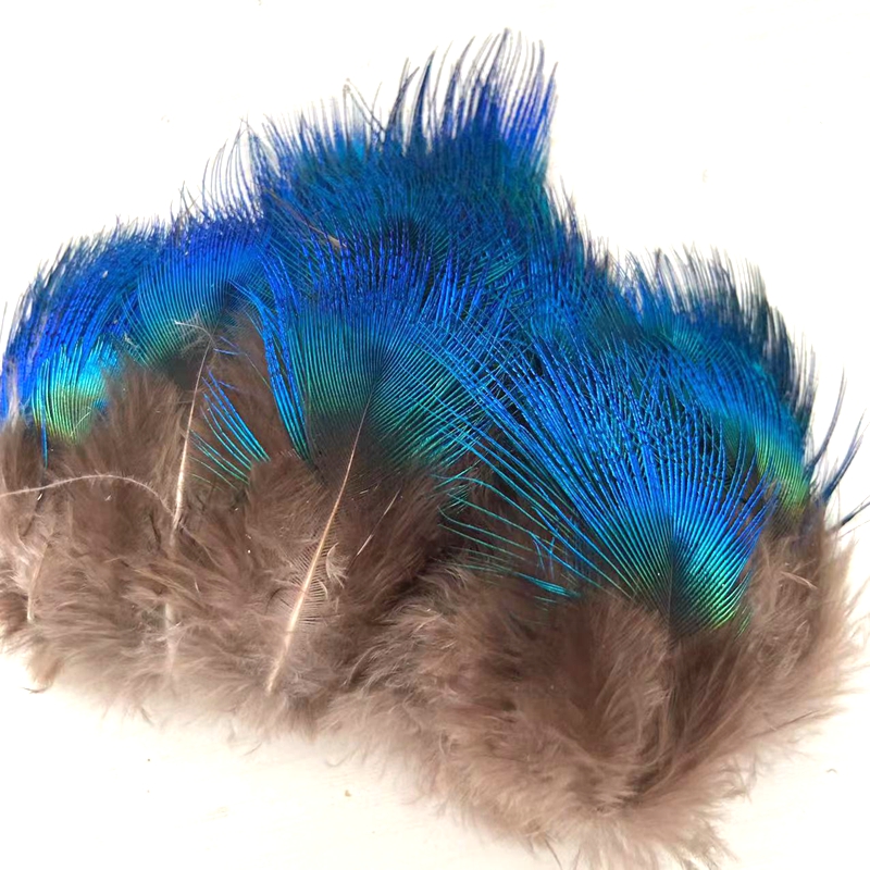 Wholesale 3-8cm Washed Small Size Natural Blue Peacock Feathers