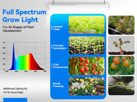 Lampes de culture LED étanches IP66 à spectre complet 120V T8 T12 T20 4 pieds 45W 50W pour le semis, la culture, la floraison, l'agriculture, le jardin