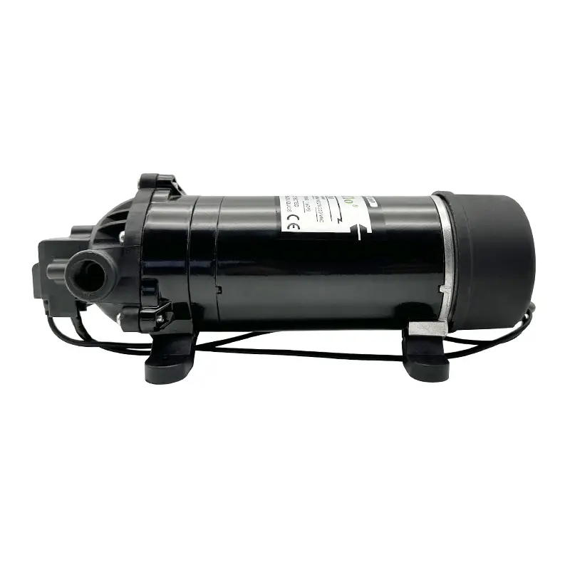 Singflo 160psi 220v high pressure DP-160M electric high pressure pump