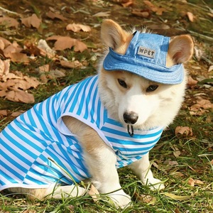 Sombrero de verano para mascotas, venta al por mayor, protección solar, sombrero de vaquero para perros, sombreros de béisbol personalizados para perros - Product Image 2