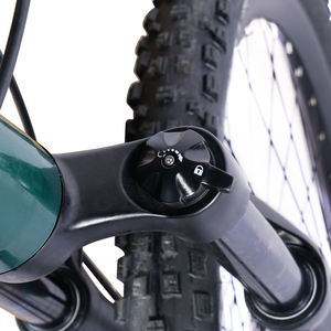 Vélo de montagne électrique 29 pouces le plus vendu, Ba Fang M510, moteur central 250W 48V, cadre en alliage d'aluminium, freins à disque hydrauliques - Product Image 3