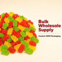Bonbons Gélifiés Halal en Gros en Forme d'Ours, Doux, Moelleux et Colorés, Fournitures d'Emballage Personnalisé ODM