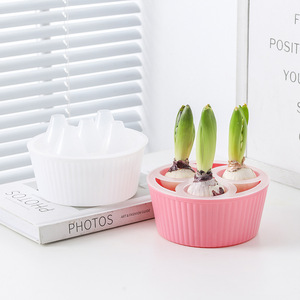 P372 Pot <span class=keywords><strong>de</strong></span> fleurs hydroponique moderne et simple à cinq trous en plastique pour bulbes <span class=keywords><strong>de</strong></span> tulipes, idéal pour les personnes paresseuses, spécial pour les graines <span class=keywords><strong>de</strong></span> jacinthe et <span class=keywords><strong>de</strong></span> narcisse - Product Image 1