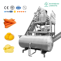 Industriële automatische grote schaal aardappelstoomschiller van 2 ton/uur voor diepvriesfrietlijnen