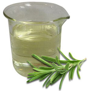 100% pure natural essential oil rosemary oil for health