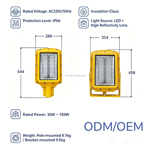 ไฟถนน LED ป้องกันการระเบิด 100W IP66 AC โครงอะลูมิเนียมอัลลอยด์ แสงสีขาว 6000K รับประกัน 1 ปี สำหรับสนามบินและลานจอดเฮลิคอปเตอร์ - Product Image 1