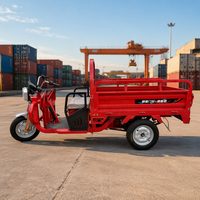 Tricycle électrique à 3 roues 2026 pour le transport de marchandises, de passagers et comme taxi-camion en Chine, carrosserie ouverte, tension 60V
