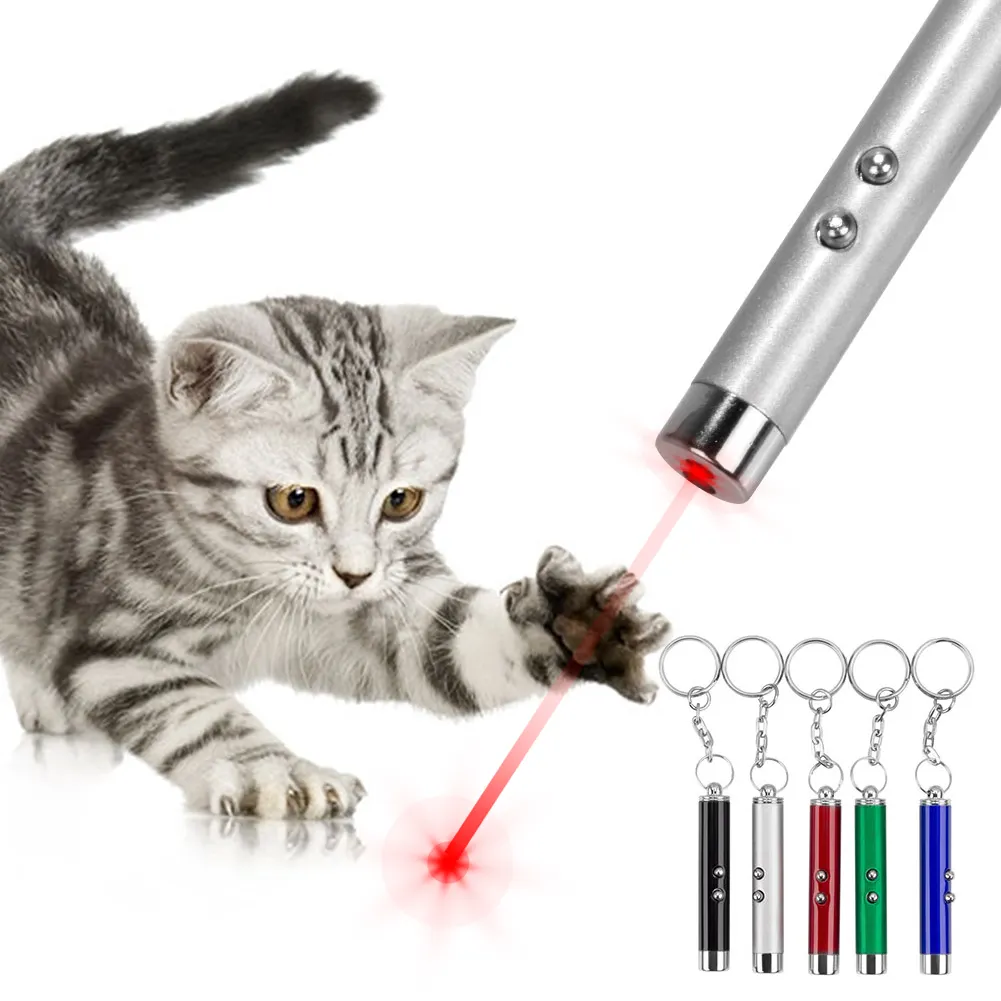 4mW Keychain Laser Pointer 2 In 1 Light Lazer Red Laser Lazer Pointer Pen + LED Light Torch Cat Dog Fun Toy No Battery