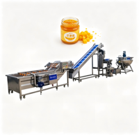 Ligne de production de confiture de mangue : machine de cuisson, de mélange et de remplissage sous vide pour la transformation des fruits tropicaux