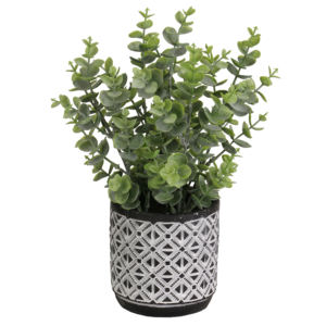 Semen jenis rumput tanaman pot plastik daun uang 30cm H dengan daun uang untuk DALAM ATAU luar ruangan - Product Image 1