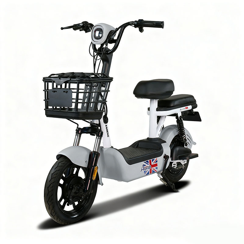 electric bicycle scooter for sale Extreme Wheel K6 Max Bike Infinite Machines P1 was praised for its futuristic design and capability On Sale! Ecotric 20