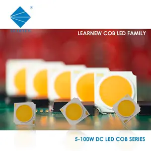 Chip LED COB ad alta potenza per lampioni interni ed esterni, illuminazione a LED, 2828, 4046, 10W, 50W, 100W, 200W, COB, 1919