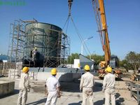 Réservoir de stockage de boue de fermenteur anaérobie de BIOGAS Longtai pour le fumier de porc/déchets animaux avec moteur comme composant de base