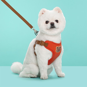 Pet <strong>Harness</strong>-Style Leash for Small/Medium <strong>Dogs</strong>-Outdoor Walking Rope Chest <strong>Harness</strong> with Teddy <strong>Chain</strong> Design - Product Image 5