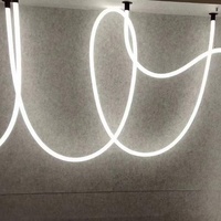 Utilisation en extérieur 5 mètres/10 mètres IP67 étanche LED néon suspension 360 degrés Flexible 100Lm/W Flux lumineux 5 ans de garantie