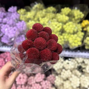 20 PCS Bouquet de fleurs séchées naturelles Craspedia, Billy Balls, fleurs longue durée pour la Saint-Valentin, décoration de mariage - Product Image 5