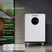 Baterai LiFePO4 48V 314Ah 15072Wh Langsung dari Pabrik, Tipe Standing, dengan Smart BMS, Sel Grade-A, Daya Tahan 6000 Siklus untuk Cadangan Daya Rumah Tenaga Surya