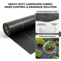 Toile tissée en polypropylène pour le contrôle des adventices, tapis de paillage robuste, toile paysagère anti-mauvaises herbes pour l'agriculture et le jardinage
