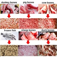 Vache Bœuf Chèvre Porc Porc Poisson Agneau Os Broyeur Broyeur Hachoir Broyeur Fraisage Poudre Machine avec Core Moteur Composant