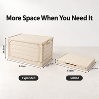 Boîte de rangement pliable en plastique pour le camping en plein air, avec couvercle en bois, anti-poussière, anti-humidité, style japonais, organisateur de coffre de voiture suspendu
