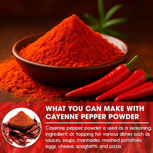 Poudre de piment rouge séché, longue durée de conservation, saveur intense pour la sauce curry, la marinade, la transformation alimentaire - Product Image 5