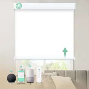 Elegant Mini Automatic Powered Shade Sunscreen Architect Privacy Sheet Blackout Electronic Motorized Roller Blinds For Window