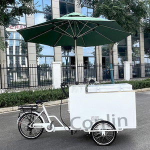 Chariots de crème glacée de vélo électrique chariot de boisson de voyage chariot poussoir de réfrigérateur <span class=keywords><strong>à</strong></span> vendre - Product Image 6