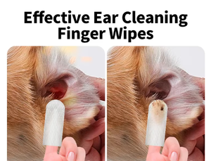 Toallitas húmedas para mascotas a base <span class=keywords><strong>de</strong></span> plantas OEM, 100 Uds., toallitas húmedas suaves para limpiar los ojos <span class=keywords><strong>de</strong></span> los gatos y eliminar las manchas <span class=keywords><strong>de</strong></span> lágrimas, Etiqueta Privada - Product Image 6