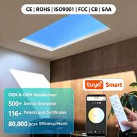 BBIER Ip66 Skylight LED Artificiel Effet Fenêtre Panneau de Contrôle Maison Intelligente Lumière Bleue