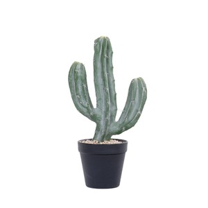 Cactus artificiel en pot Dream Castle, style Dragon Pillar, 30cm-100cm, Décoration intérieure, Verdure bionique - Product Image 5