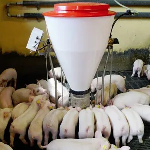Mangiatoia automatica per maiali a prezzo di produzione con materiale d'acciaio