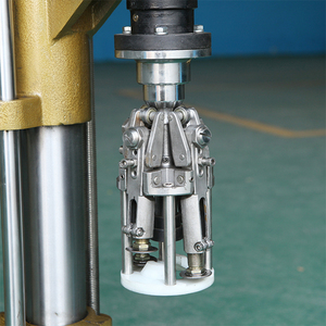 Bán Tự Động Điện Loại Bàn Chai Vít Capping Máy Để Bán - Product Image 6