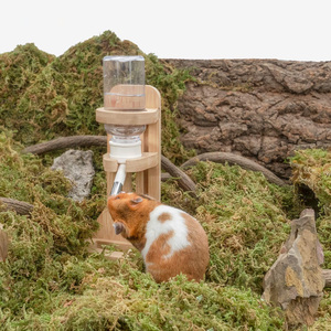 Bottiglia d'Acqua Ecologica in Legno con Supporto per Criceti Nano Siriani Gerbilli Topi Ratti Degu e Piccoli Roditori (Bianco) - Product Image 5