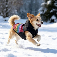 Gilet pour chien en coton écologique durable, manteau d'hiver à capuche de couleur unie de luxe pour grands chiens, vente en gros par le fabricant