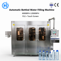 Usine d'embouteillage d'eau minérale clé en main, ligne de production d'eau potable entièrement automatique, machine 3-en-1 de soufflage, remplissage et bouchage