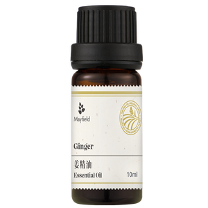 Aromatherapie Biologische Gember Etherische Olie (Zingiber Officinale) 100% Zuivere Natuurlijke Gemberwortel Stoomdestillatie Pijnverlichting - Product Image 1