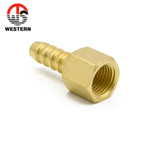 Chinesische Hersteller Messing Pneumatische Weibliche BSP NPT Schlauch Fitting mit Düse Ende