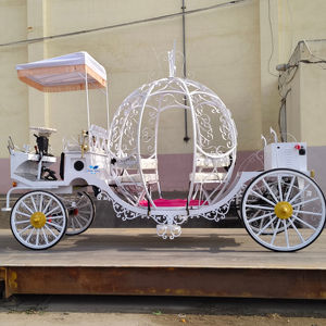 Cocarrosse magique pour bal de promo/coach de conte de fées/coach de princesse magnifique - Product Image 1