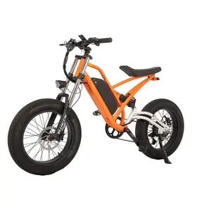 48v 1000W 최고의 Ebike 20 인치 고속도로 타이어 크루저 전기 하이브리드 자전거 최대 모터 프레임 전기 자전거 고속 65 km/h