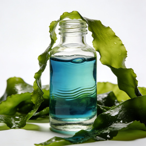 Esencia Líquida de Algas Marinas Sintéticas que Captura el Único Sabor Umami para Uso Industrial y Diario en Sopas y Salsas - Product Image 1